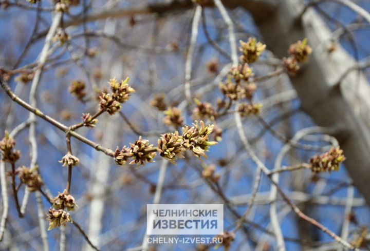 В Челнах завтра обещают потепление