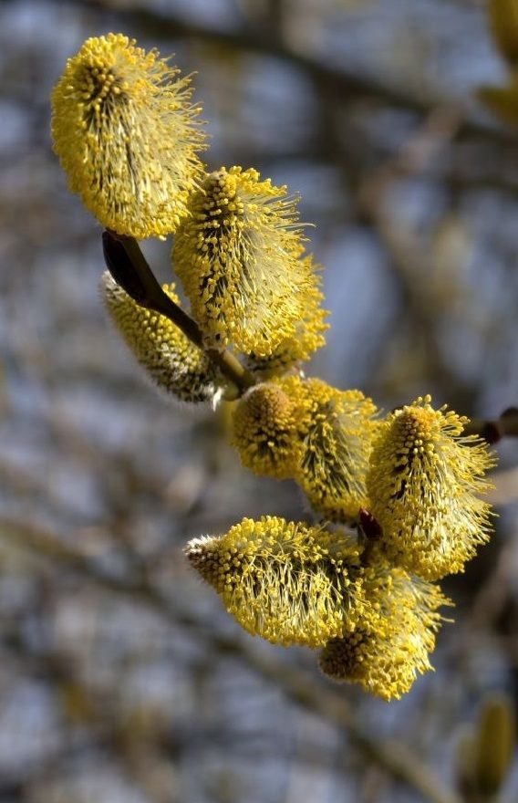 Тепло и солнце: в пятницу в Челнах обещают комфортный день