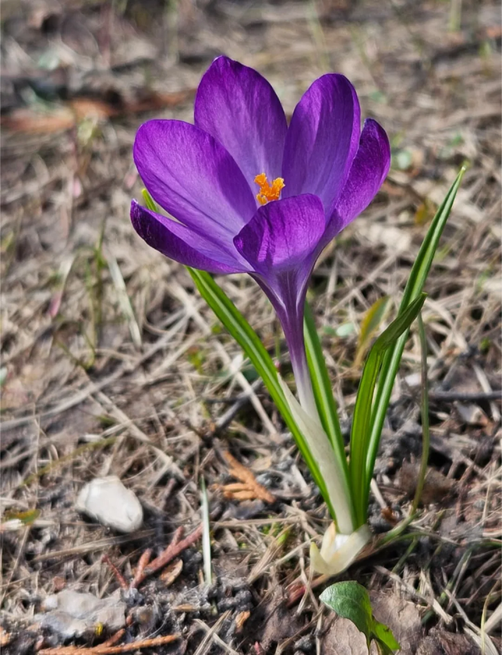 Суббота в Татарстане будет ненастной