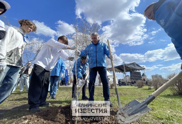 Участники акции «Вода России» с мэром Челнов высадили 40 деревьев на набережной