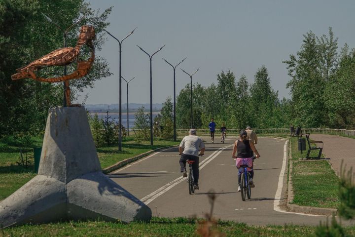 «10 лет назад вышла замуж за бездетного. Хочу чтобы все осталось моему сыну»
