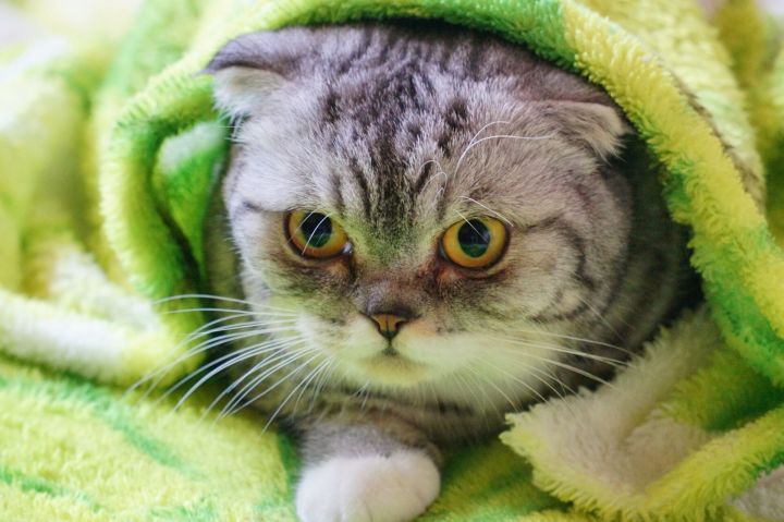 В Набережных Челнах завтра похолодает