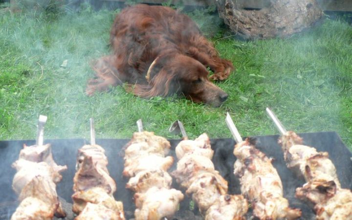 Татарстанцам напомнили, как жарить шашлыки во время противопожарного режима