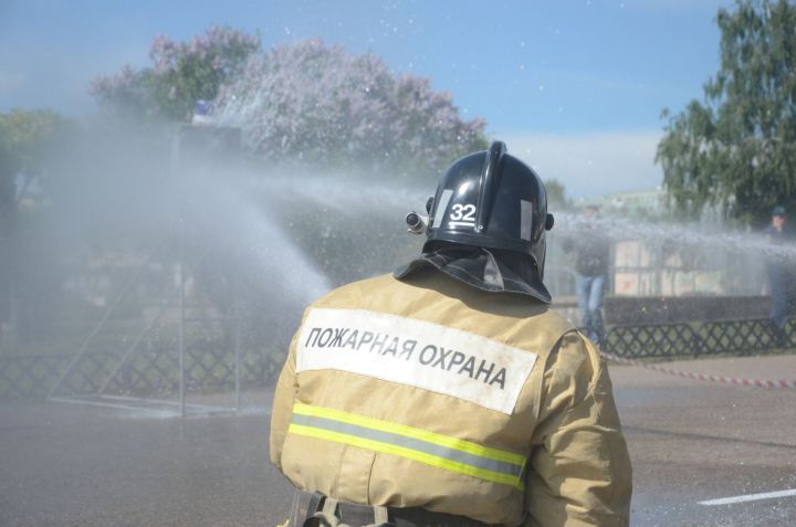 Челны лидируют в Татарстане по природным пожарам