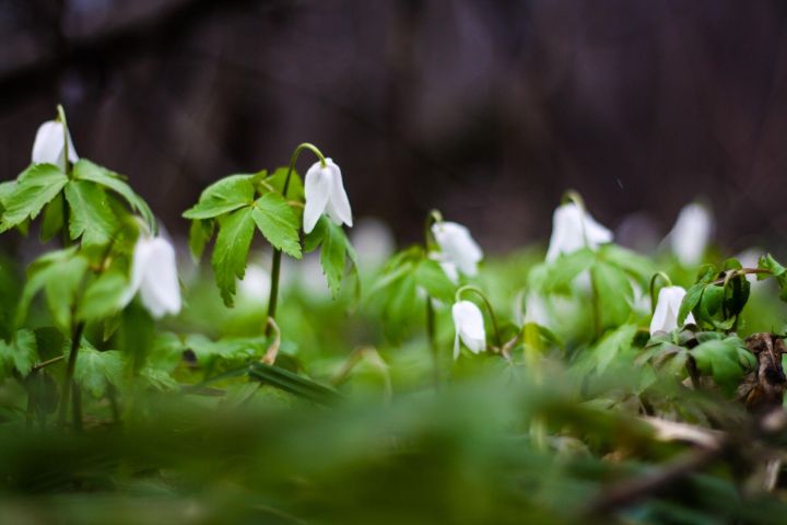 В Челнах завтра обещают небольшое потепление