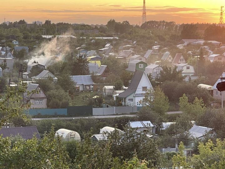 В Набережных Челнах наказали дачного воришку