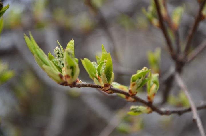 На Татарстан надвиагется циклон: будет дождливо и холодно