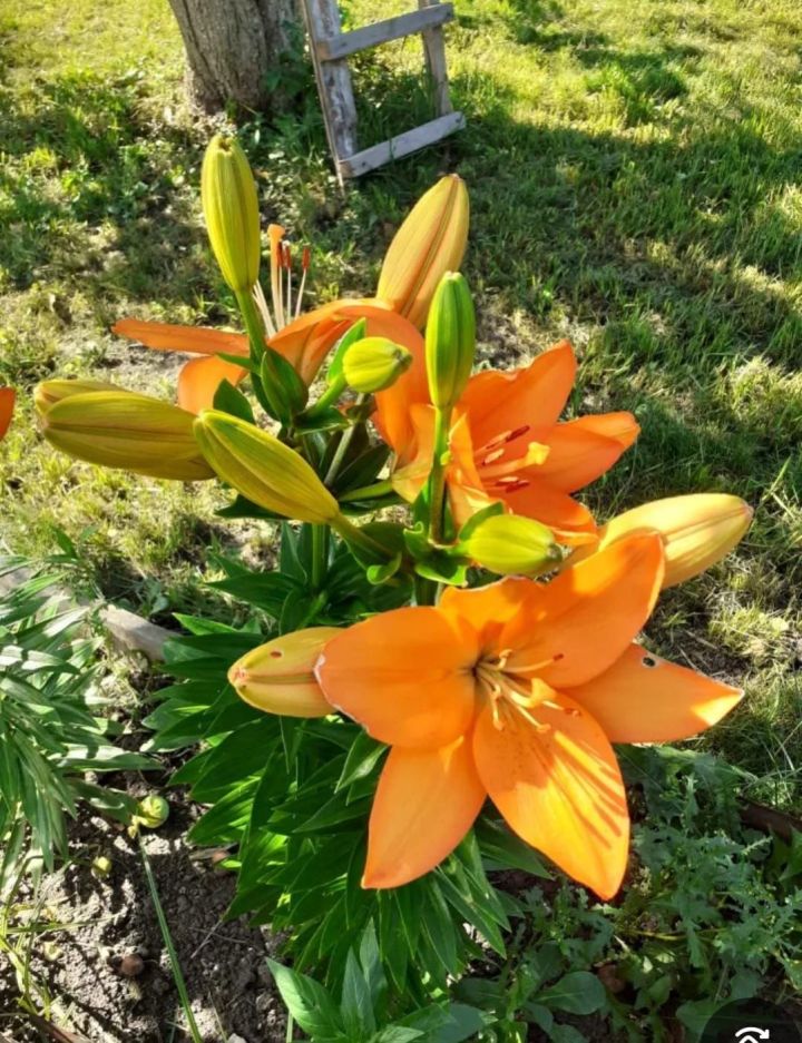 В Челнах завтра обещают до +12