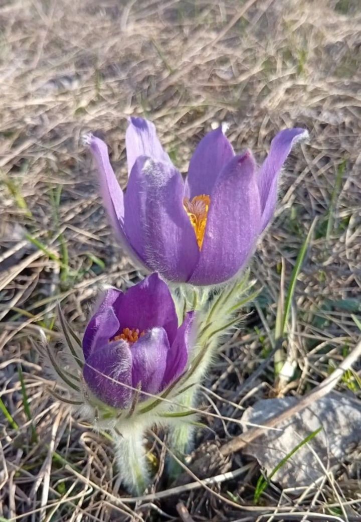 В Челнах завтра обещают до +15