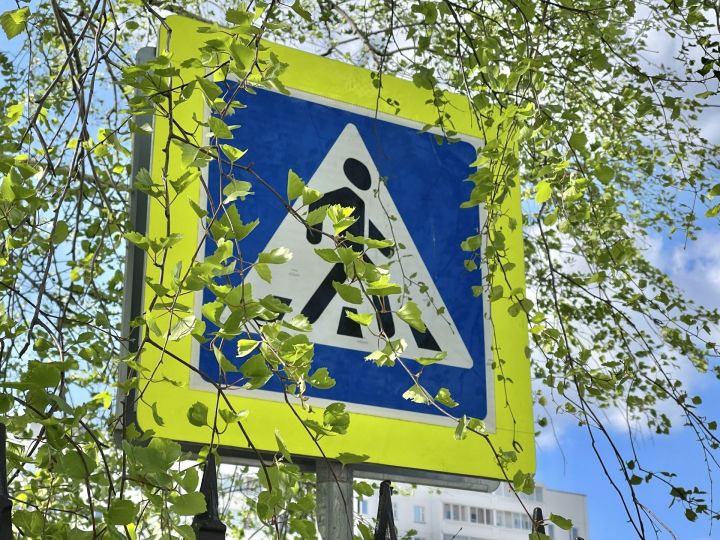 Татарстанское УФАС: предприниматель из Башкирии сорвал поставку дорожных знаков