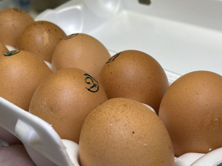 В Татарстане впервые за долгое время подешевели яйца