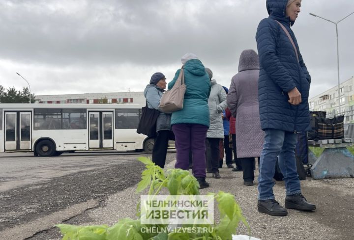В СНТ «Колосок» под Челнами будет ходить автобус №127