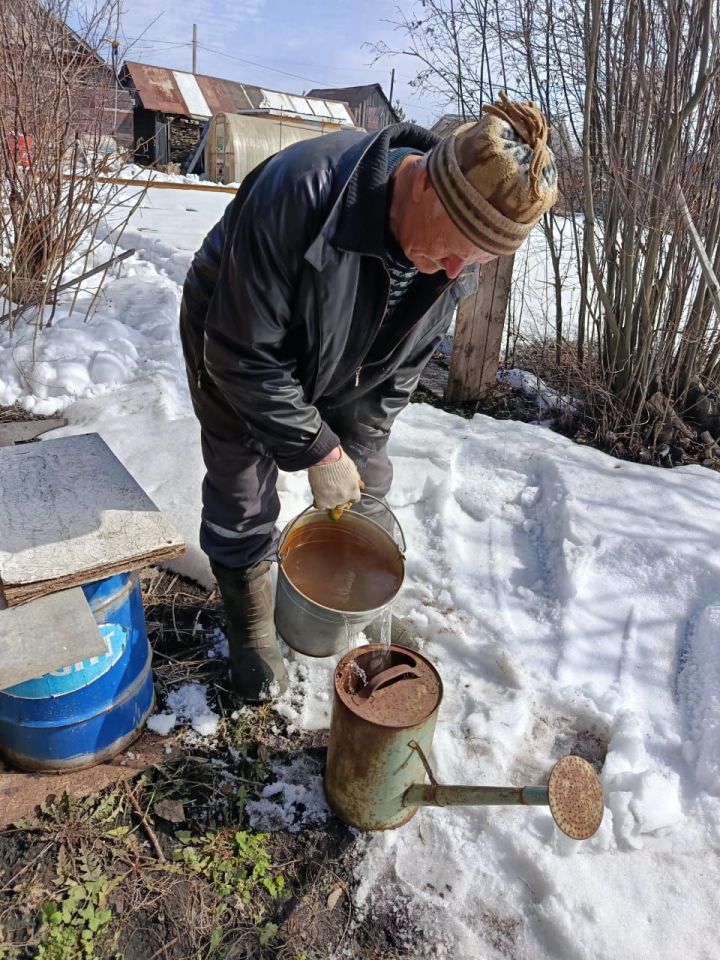 Календарь огородника: почему кустарникам полезен горячий душ