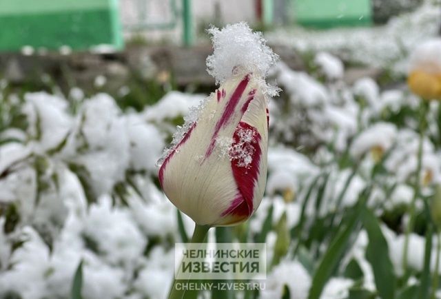 В Татарстане обещают грозу с мокрым снегом