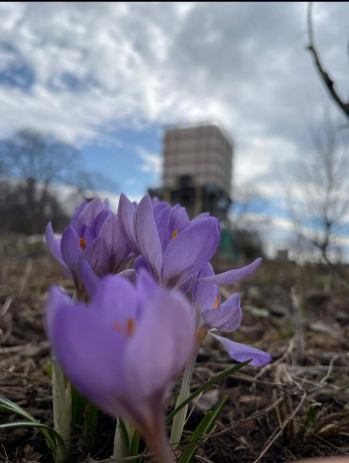 В Челнах завтра обещают до +12 градусов