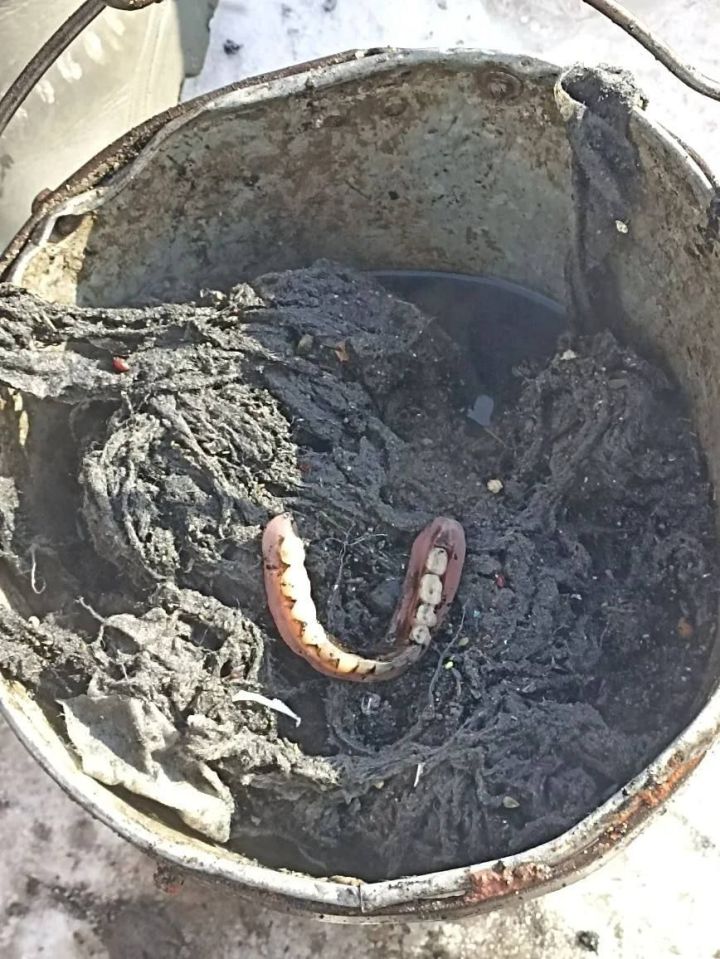 «Даже они теряют дар речи»: что челнинцы смывают в унитаз