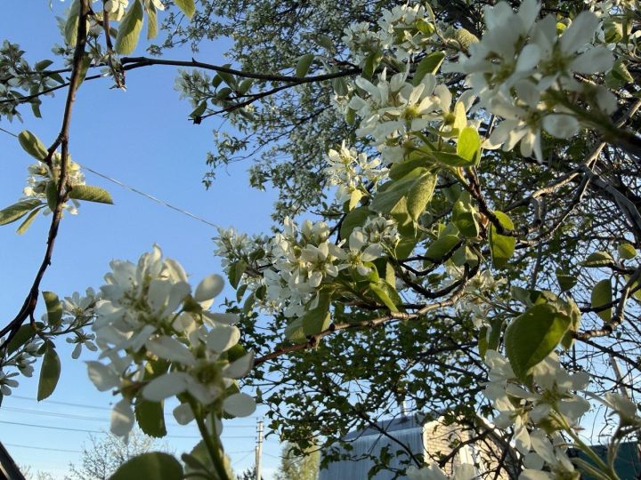 В Челнах в четверг синоптики обещают комфортную погоду