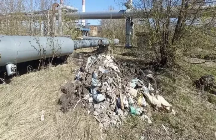 Экологи обнаружили свалку в СНТ «Заря» под Челнами