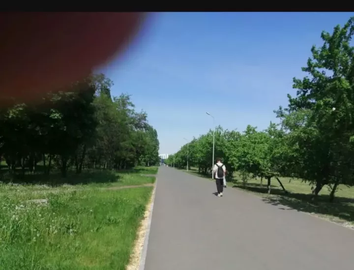 Атака ворон в Челнах: учёный объяснил, как избежать конфликта с «истребителями»