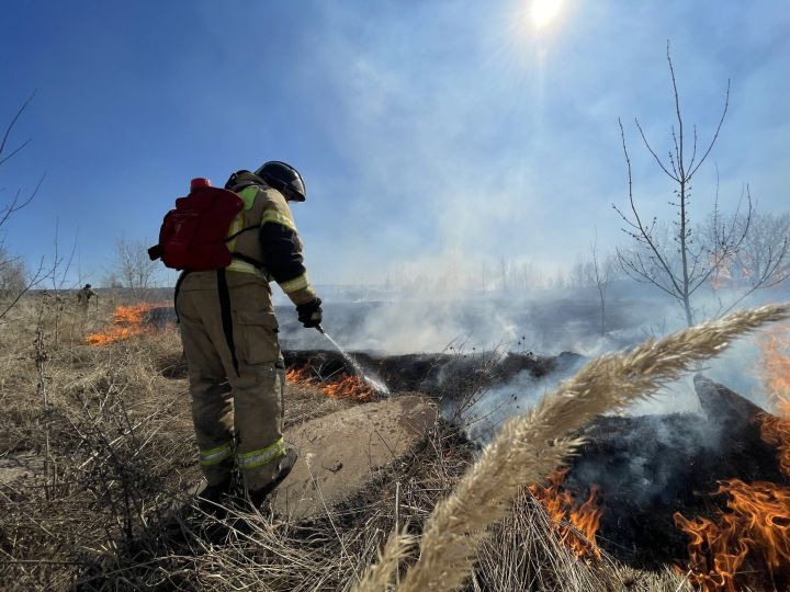 В Челнах сухая трава сгорела на площади 400 «квадратов»