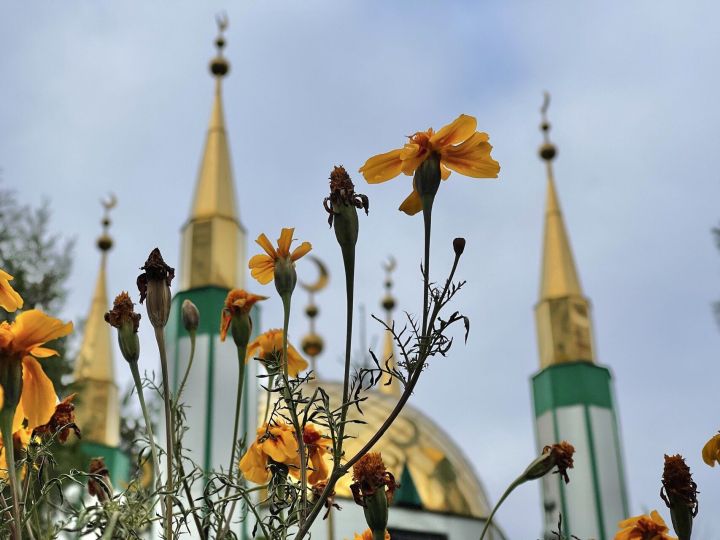 В Татарстане размер нисаба на Курбан-байрам вырос почти вдвое