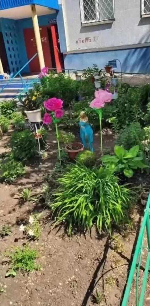 «Цветочная банда»: трое похитили розы из двора Челнов