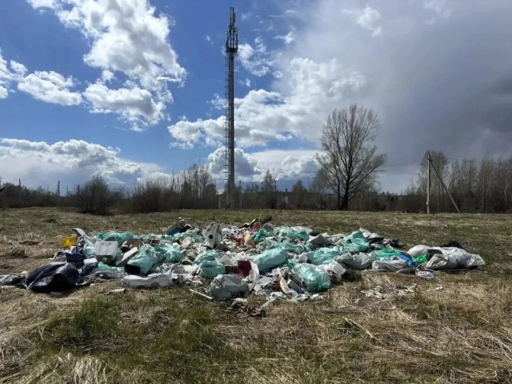 Свалки в 171 квадратный метр нашли экологи в Челнах