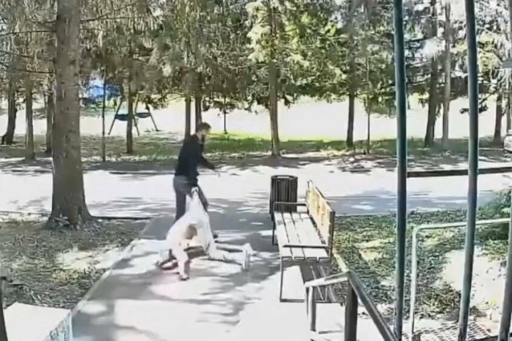 Бастрыкин затребовал доклад по делу об избиении девушки в Заинске