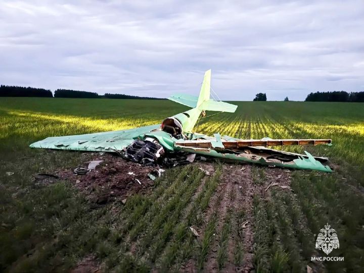 В Татарстане разбился  самодельный самолет: пилот погиб