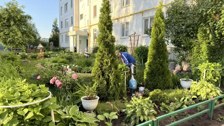 Кот ученый и вишневый сад: дворы Челнов превратились в Лукоморье