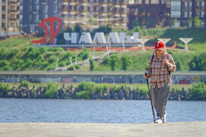 Для оформления пенсии теперь нужны только паспорт и СНИЛС