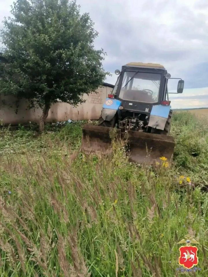 В Нижнекамском районе обнаружили 10 тысяч «квадратов» дикой конопли