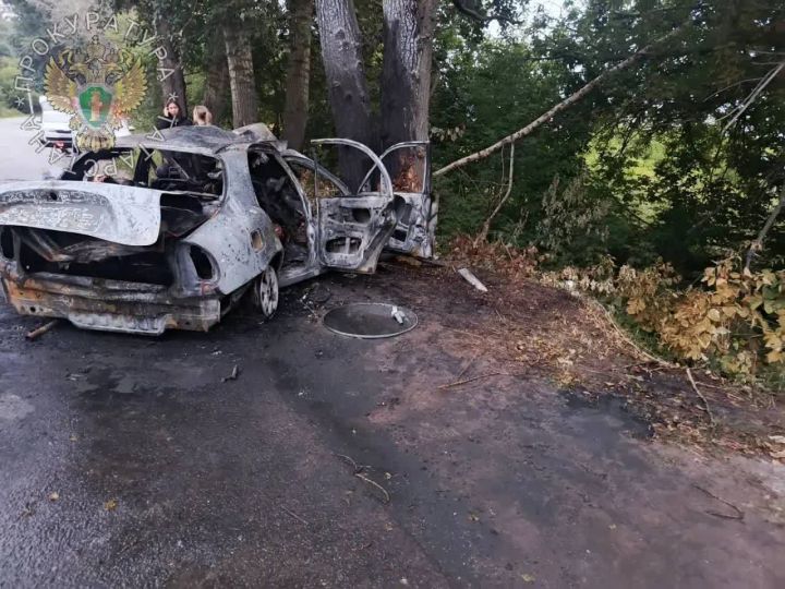 Озвучены детали жуткого ДТП, где заживо сгорели шестеро подростков