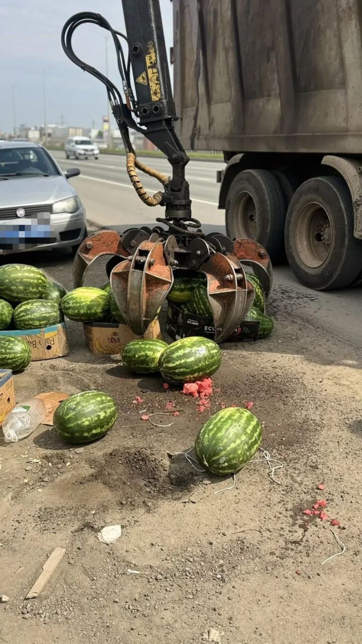 В Набережных Челнах изъяли арбузы и дыни у нелегальных торговцев
