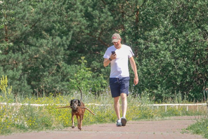 Последний день знойной жары обещают завтра в Челнах