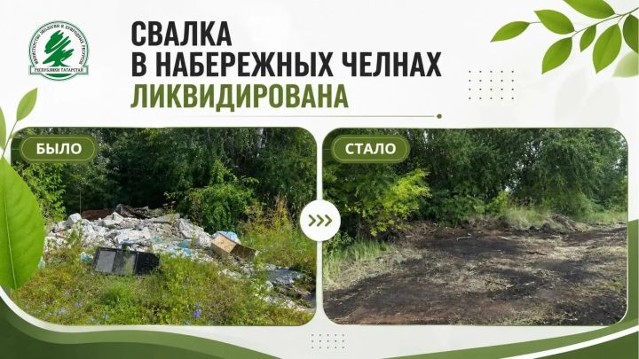В Челнах ликвидировали свалку размером с элитную квартиру