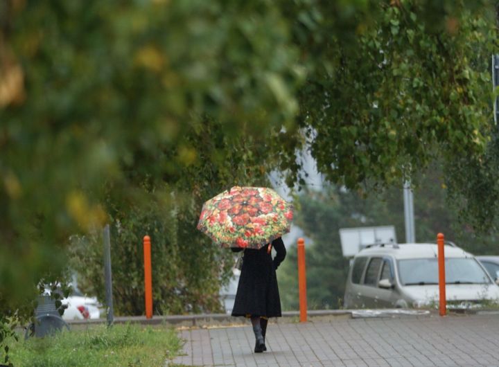 Прохладную погоду обещают синоптики в Челнах завтра