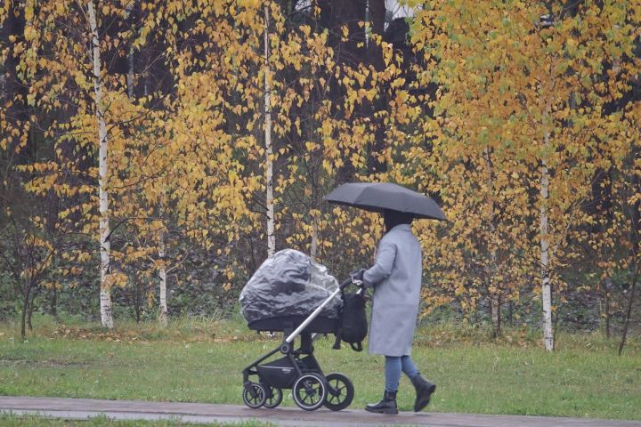 Синоптики пообещали челнинцам дождливую среду
