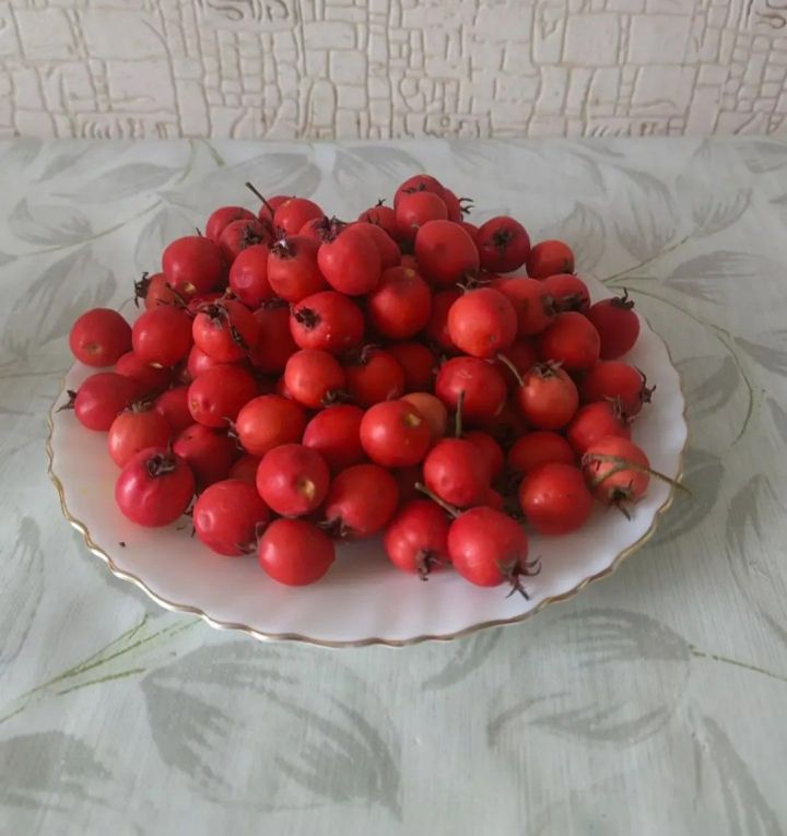 От варенья — до соуса к мясу: шесть вкусных заготовок из боярышника