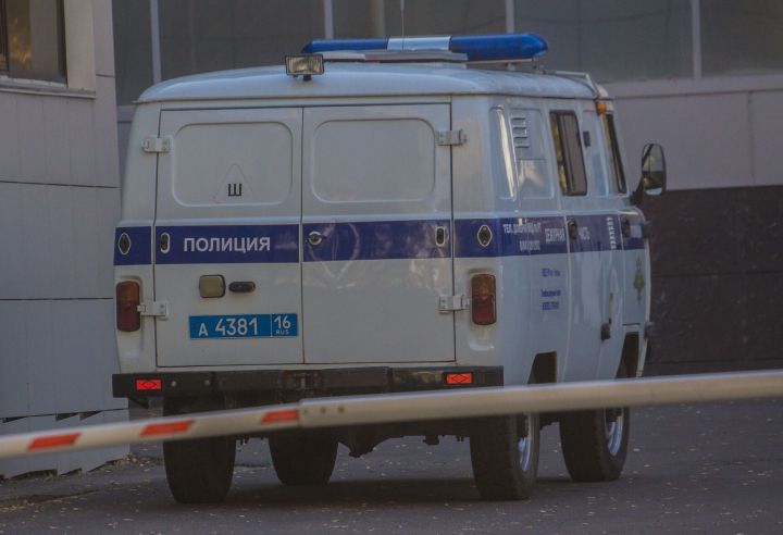 Рецидивист на колёсах: водитель оптовой базы в Челнах вынес 24 упаковки энергетика